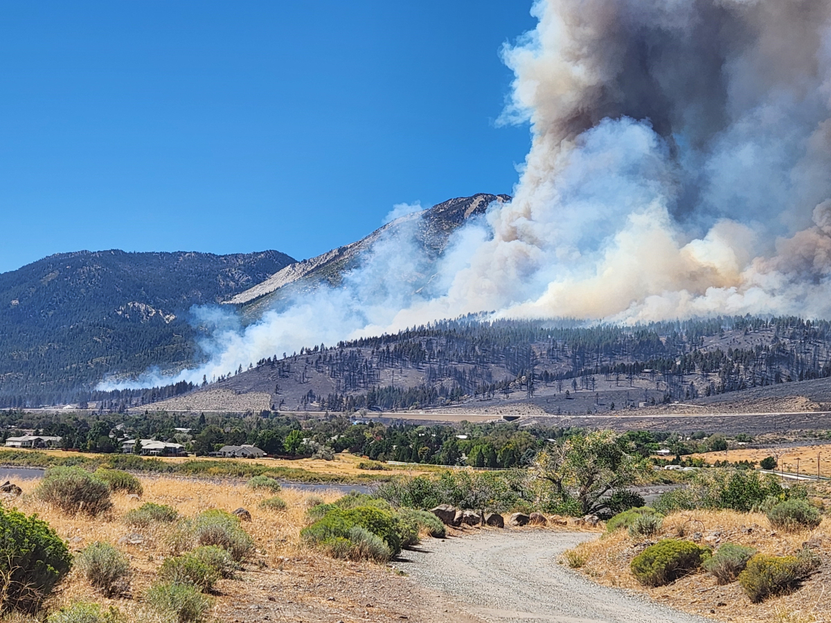 The Davis Forest fire